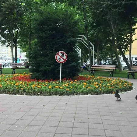 Irene - Cozy House- 2 Апартаменты Бухарест