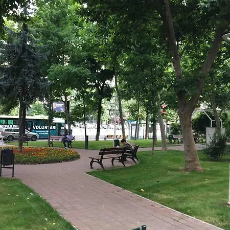 Apartamento Irene - Cozy House- 2